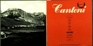 Noi della Cantoni